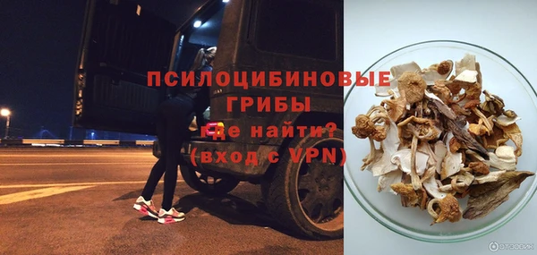 не бодяженный Ладушкин