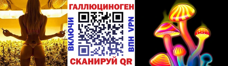 Галлюциногенные грибы Psilocybe  Шенкурск 